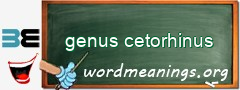 WordMeaning blackboard for genus cetorhinus